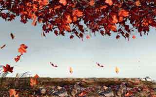 我以为自己懂了，P站被误会了｜最实用的时间线，别再被套路