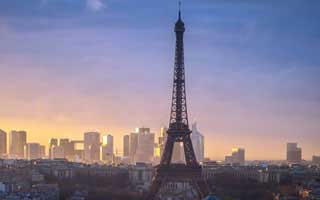 从零讲明白：每日大赛的搜索策略怎么用？从今天开始不迷路