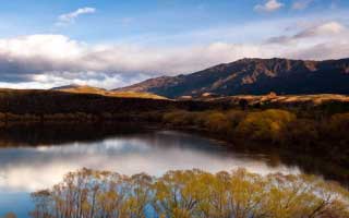 从零讲明白：每日大赛的搜索策略怎么用？从今天开始不迷路