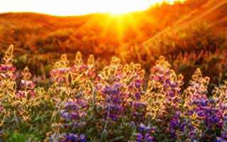 从零讲明白：每日大赛的搜索策略怎么用？从今天开始不迷路