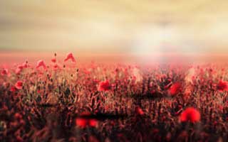 51视频网站风波：表面平静其实暗流翻涌