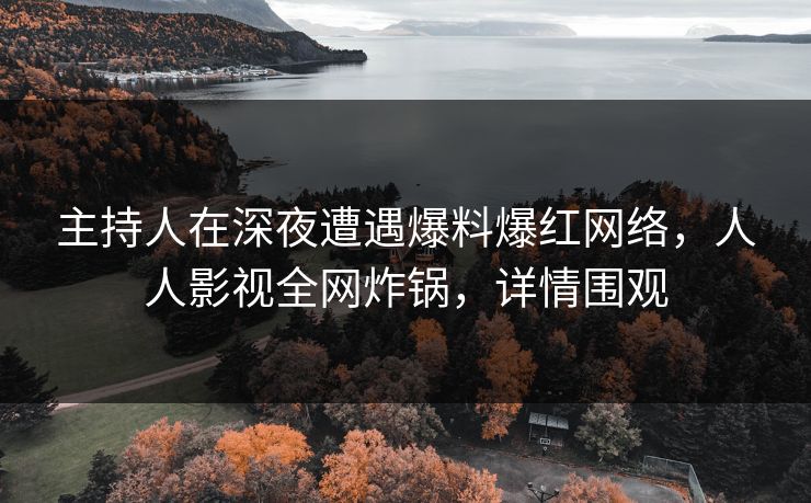 主持人在深夜遭遇爆料爆红网络，人人影视全网炸锅，详情围观