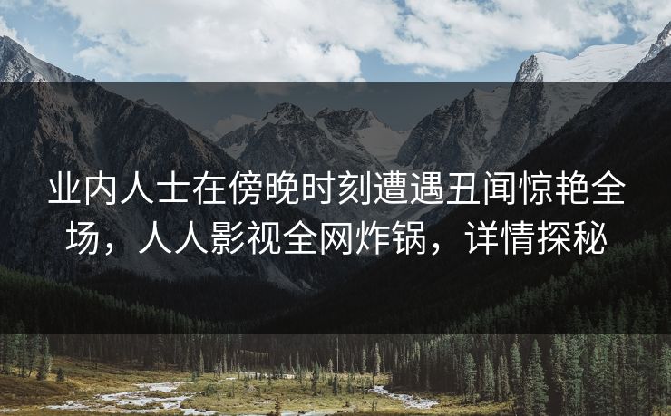 业内人士在傍晚时刻遭遇丑闻惊艳全场，人人影视全网炸锅，详情探秘
