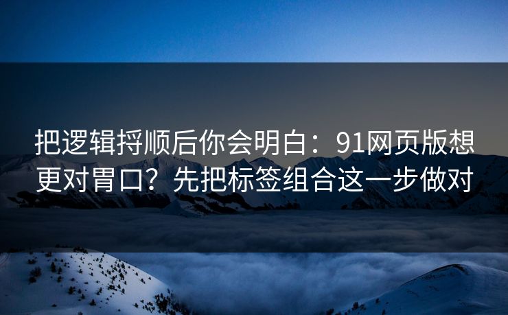 把逻辑捋顺后你会明白：91网页版想更对胃口？先把标签组合这一步做对